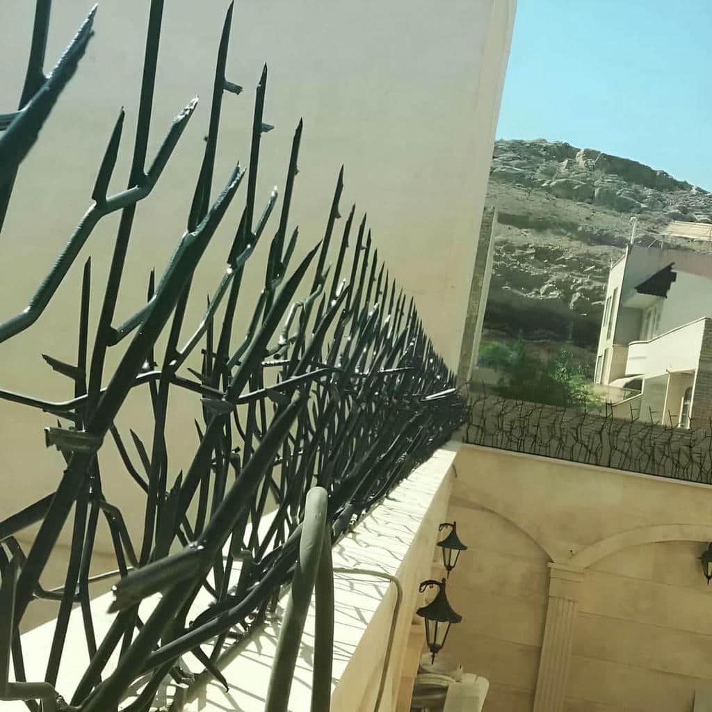 خرید حفاظ شاخ گوزنی تراکم متراکم در سمنان