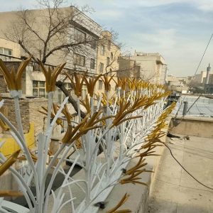 حفاظ شاخ گوزنی در شهریار