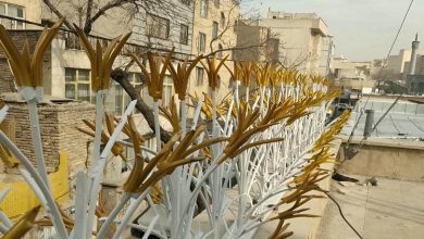 حفاظ شاخ گوزنی در شهریار