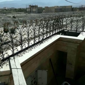 حفاظ شاخ گوزنی دیوار ساختمان در استان گلستان