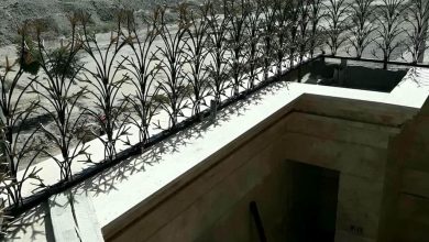 حفاظ شاخ گوزنی دیوار ساختمان در استان گلستان