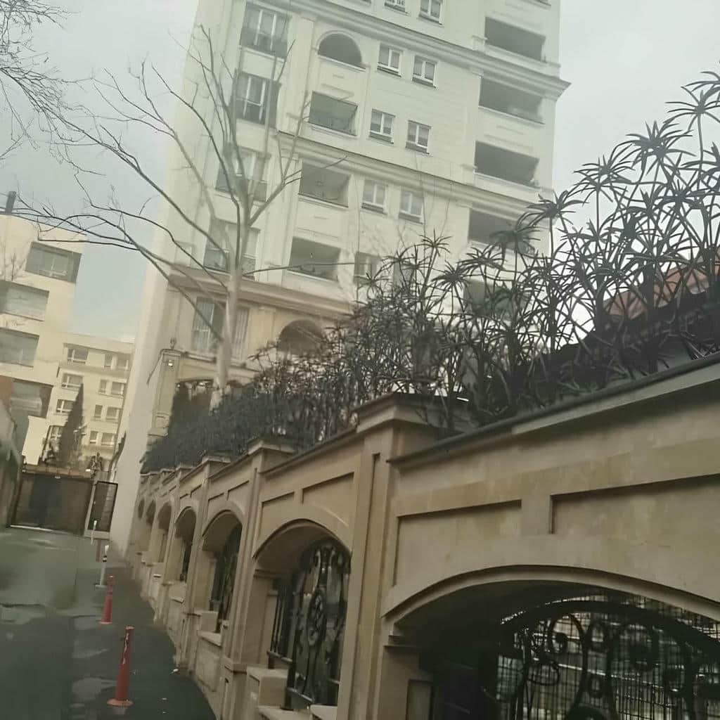حفاظ شاخ گوزنی در سمنان