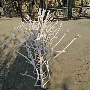 حفاظ شاخ گوزنی دیوار ساختمان در رشت