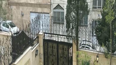 حفاظ شاخ گوزنی دیوار ساختمان در بندر انزلی