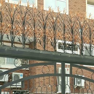 حفاظ شاخ گوزنی دیوار ساختمان در گنبدکاووس