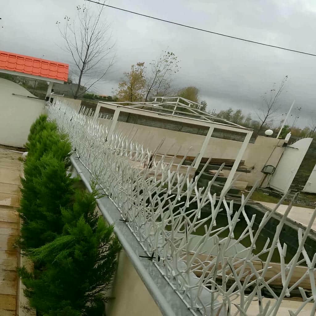 نصب حفاظ شاخ گوزنی سبک کلاسیک در فشم
