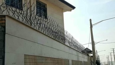 حفاظ شاخ گوزنی در مریوان