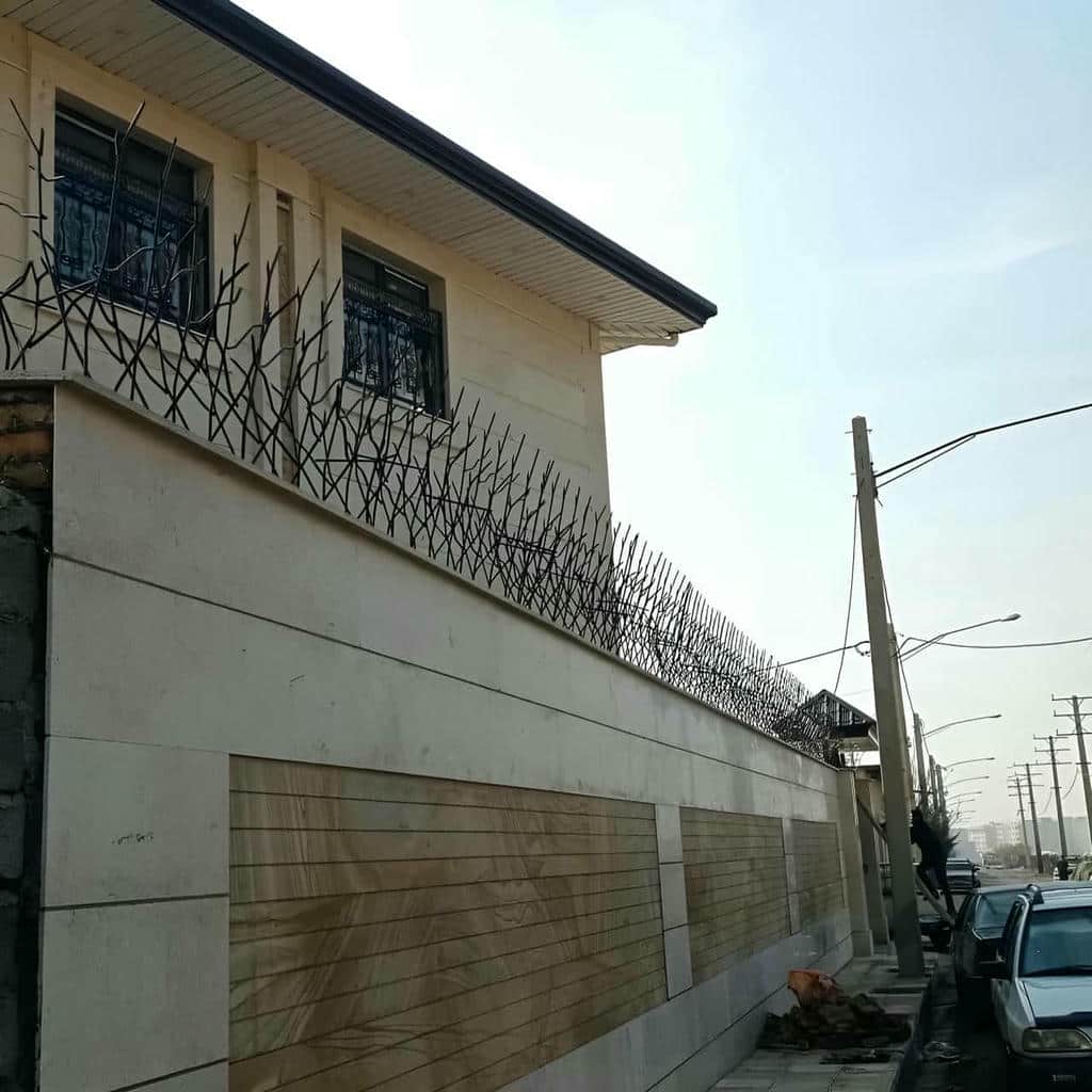 حفاظ شاخ گوزنی در مریوان