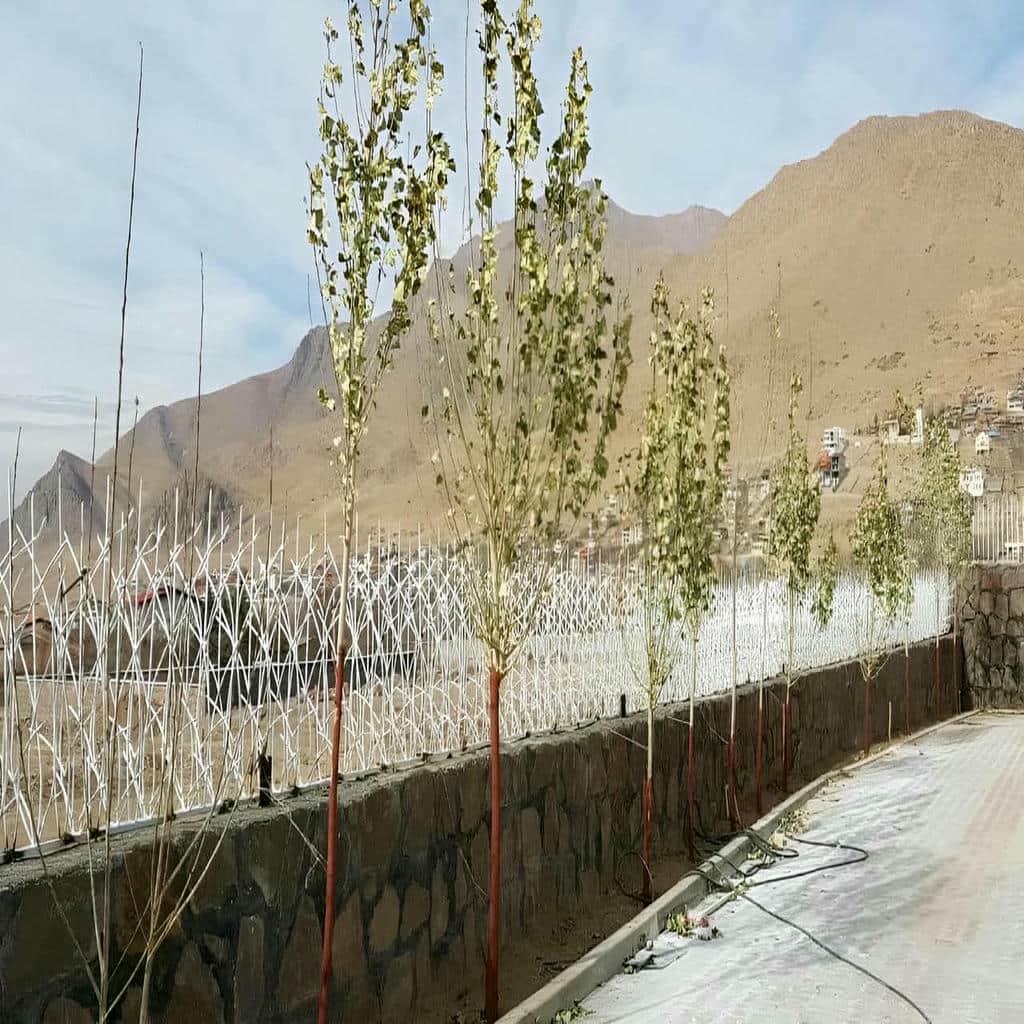 نصب حفاظ شاخ گوزنی رنگ الکترواستاتیک در آمل