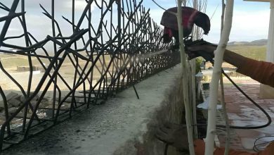 حفاظ شاخ گوزنی در سقز