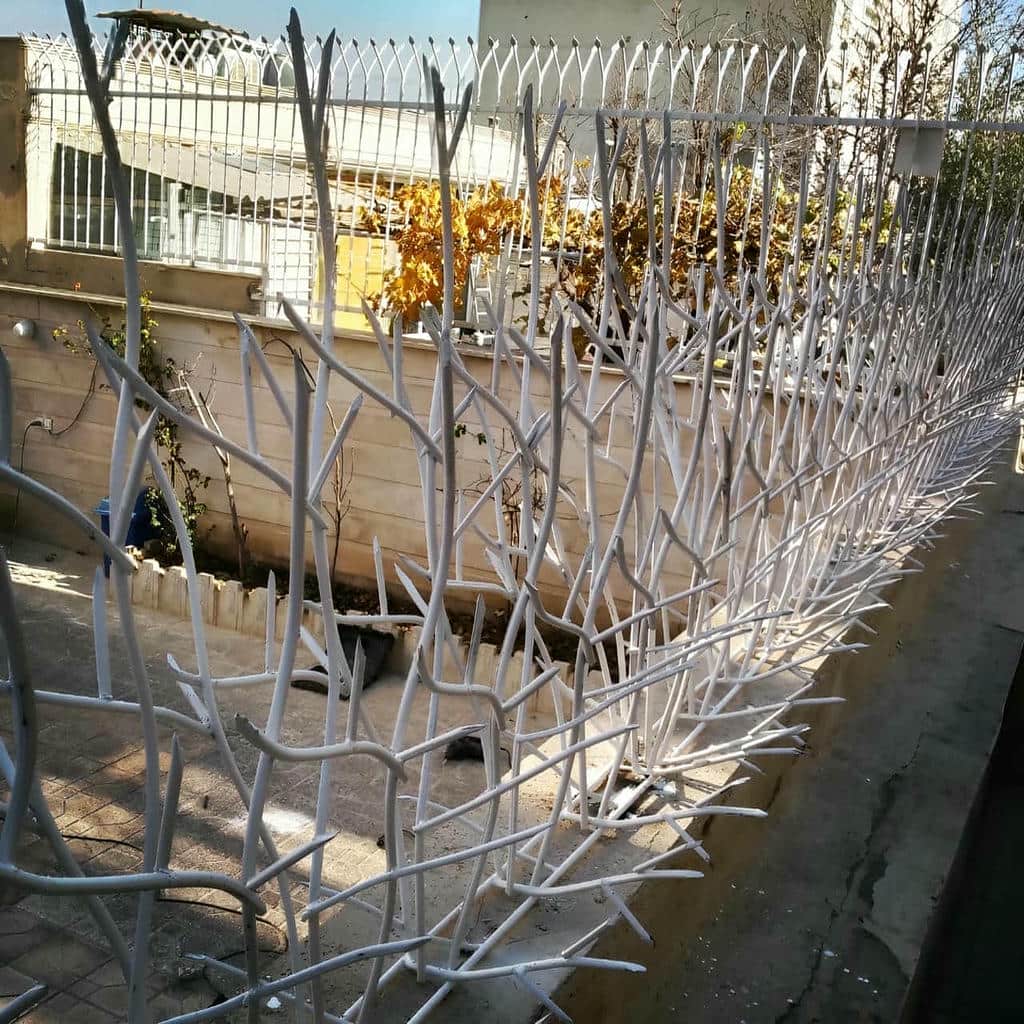 قیمت حفاظ شاخ گوزنی طرح باز در نظرآباد