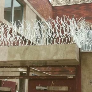حفاظ شاخ گوزنی دیوار ساختمان در ایرانشهر