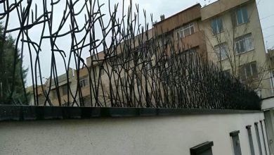 حفاظ شاخ گوزنی در قشم