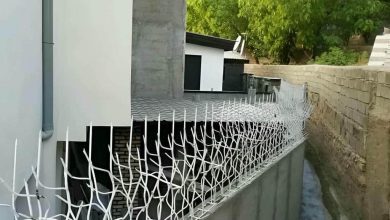 حفاظ شاخ گوزنی در فشم