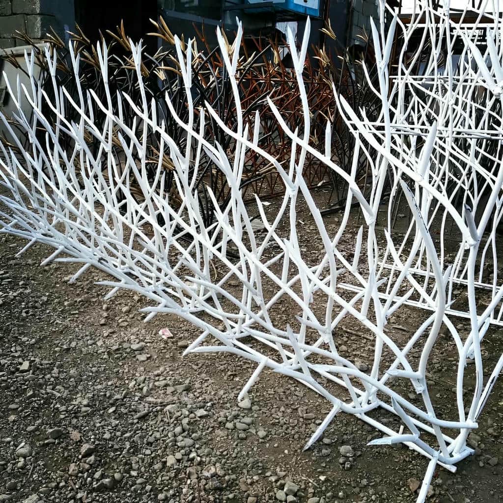 حفاظ شاخ گوزنی در آمل