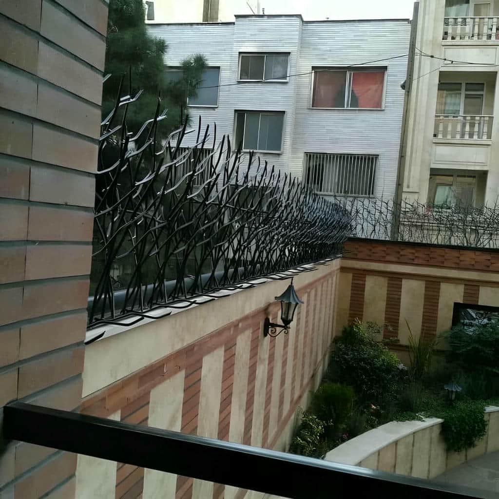 خرید حفاظ شاخ گوزنی دیوار ساختمان در اهواز