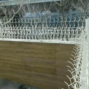 حفاظ شاخ گوزنی در گرگان