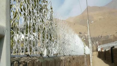 حفاظ شاخ گوزنی دیوار ساختمان در شیراز
