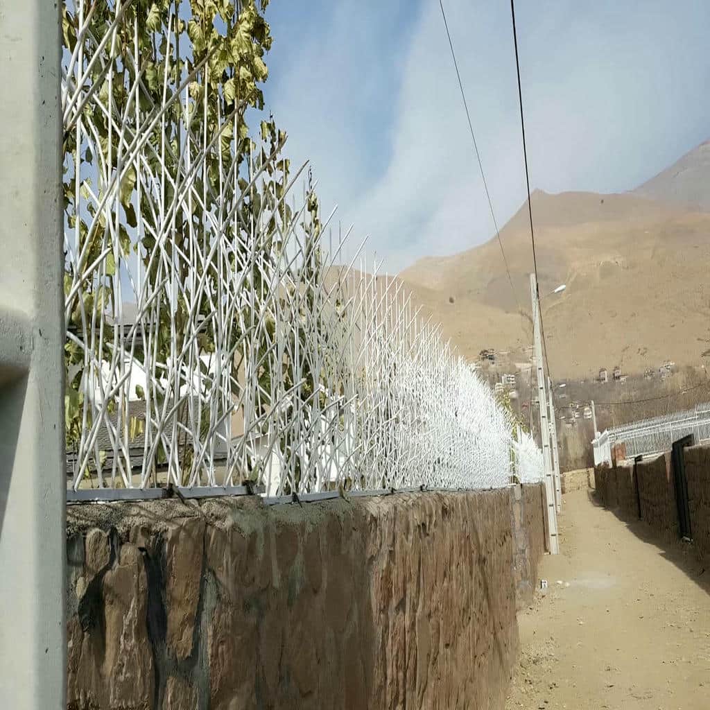 حفاظ شاخ گوزنی دیوار ساختمان در شیراز