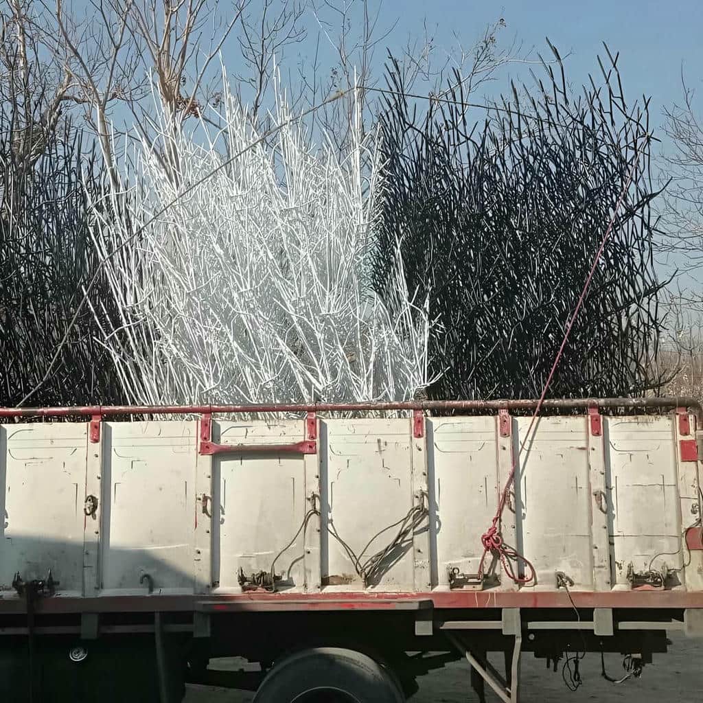 فروش حفاظ شاخ گوزنی پوشش روغنی در اندیشه