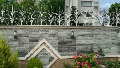 حفاظ شاخ گوزنی در بجنورد