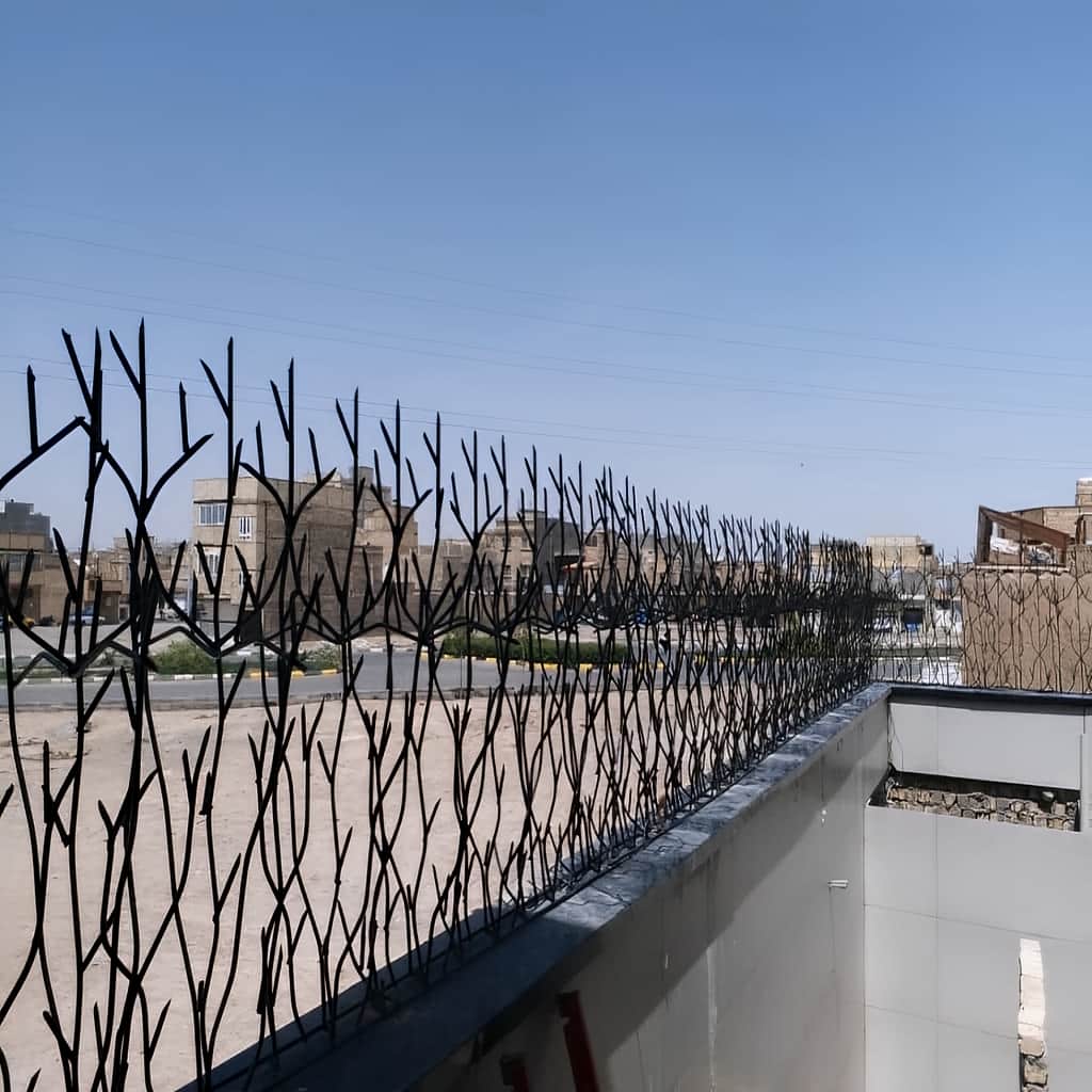 خرید حفاظ نیزار دیوار باغ با طرح شاخه‌بلند