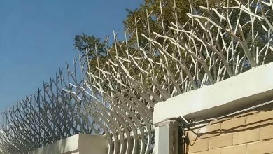 حفاظ شاخ گوزنی دیوار باغ ویلا برای خرید