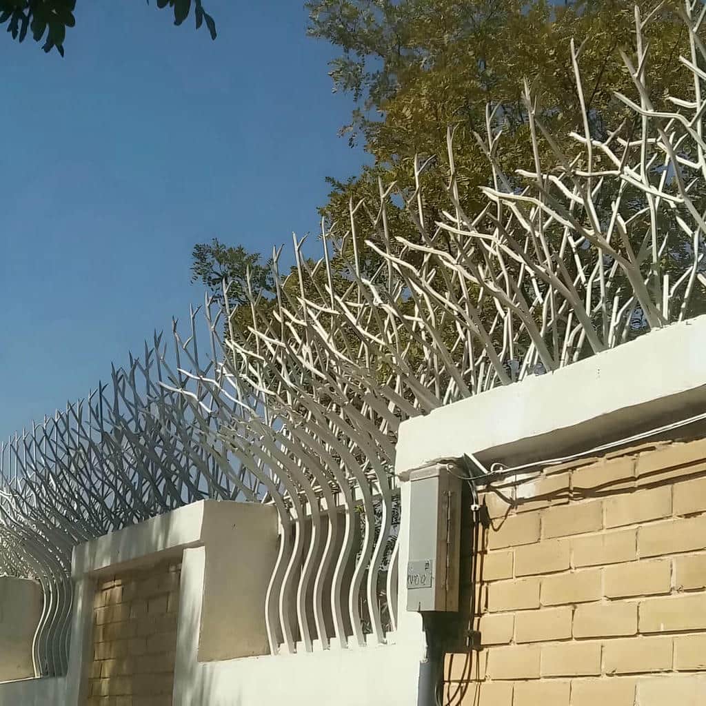 حفاظ شاخ گوزنی دیوار باغ ویلا برای خرید