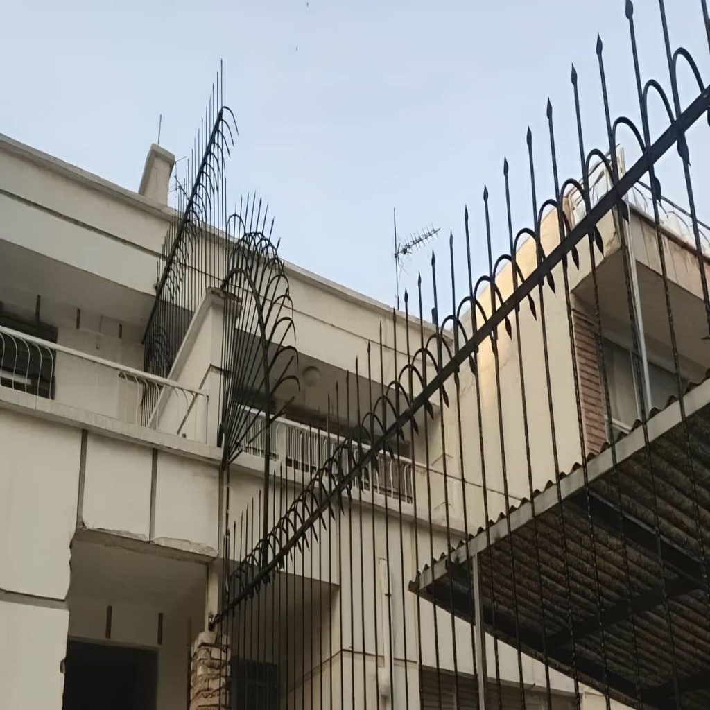 حفاظ شاخ گوزنی و حفاظ سرنیزه ای با ظاهر بازدارنده