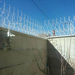 حفاظ شاخ گوزنی؛ مدل پرفروش حفاظ دیوار برای ساختمان و ویلا