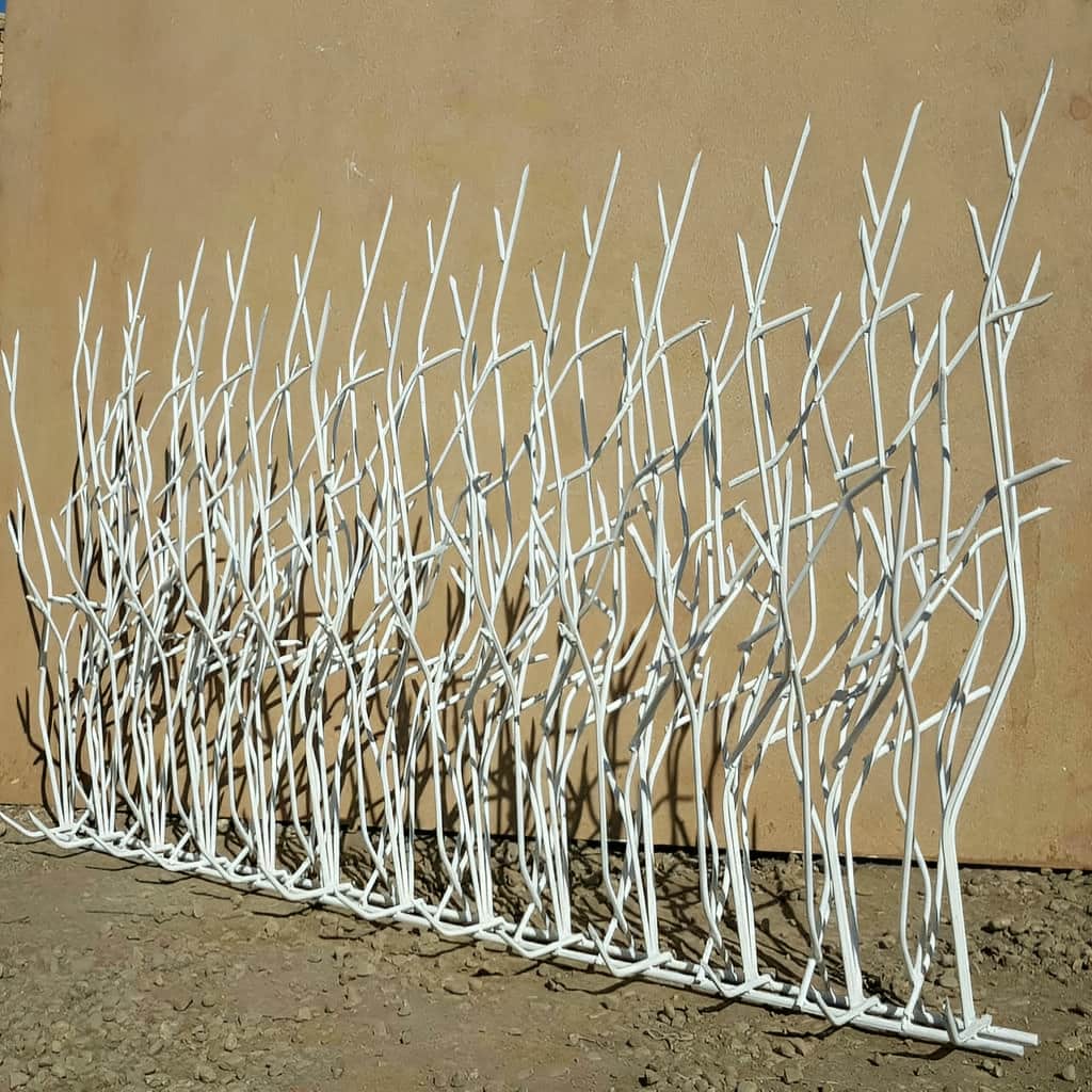 ابعاد محافظ شاخ گوزنی روی دیوار