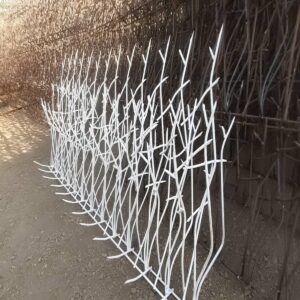 قیمت محافظ شاخ گوزنی دیوار
