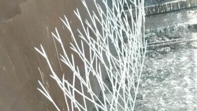 نرده شاخ گوزنی چیست و چگونه به وجود آمدند؟