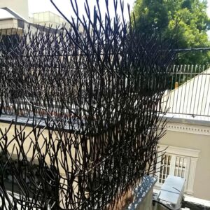 مزیت حفاظ آهنی شاخ گوزنی روی دیوار قوس دار