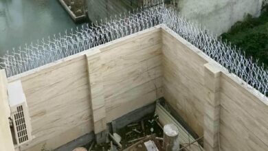 حفاظ دیواری شاخ گوزنی از نمای دور و نزدیک