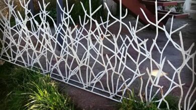 قیمت حفاظ آهنی شاخ گوزنی
