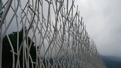 حفاظ شاخ گوزنی طرح f با قیمت مناسب و ساختار فلزی