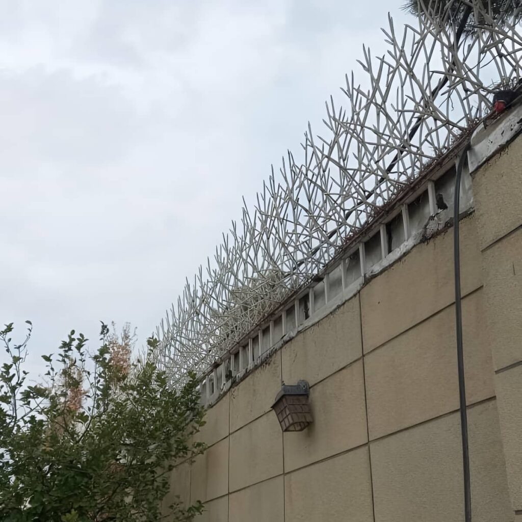 حفاظ شاخ گوزنی طرح f با قیمت اقتصادی در مرحله کنترل کیفیت حفاظ شاخ گوزنی طرح f با قیمت اقتصادی در مرحله کنترل کیفیت