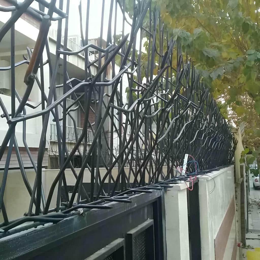 حفاظ شاخ گوزنی طرح اف هنگام بررسی نمونه کار