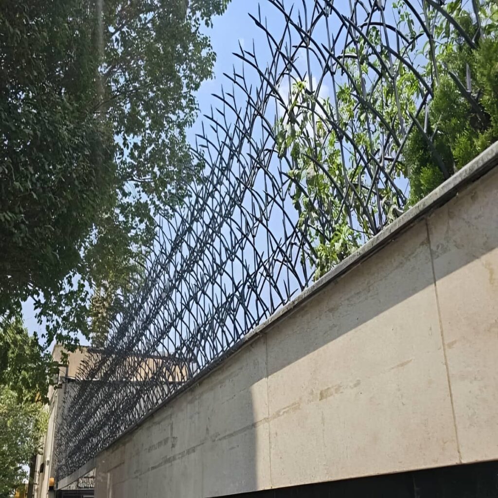 امنیت و نصب محافظ دیواری شاخ گوزنی