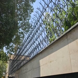 امنیت و نصب محافظ دیواری شاخ گوزنی