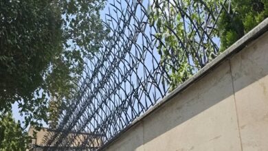 امنیت و نصب محافظ دیواری شاخ گوزنی