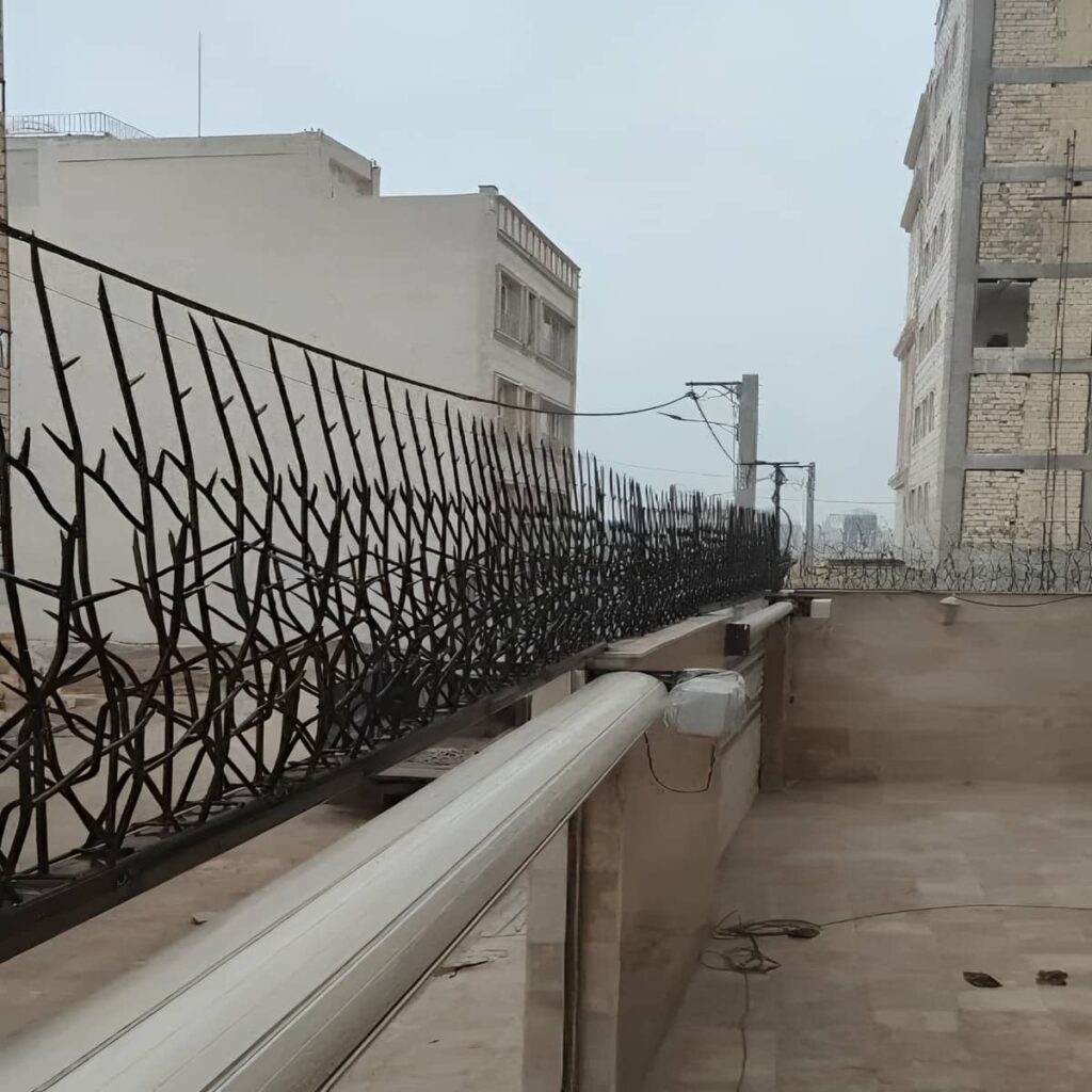 نرده شاخ گوزنی بالای دیوار ساختمان چه کاربردی دارد ؟
