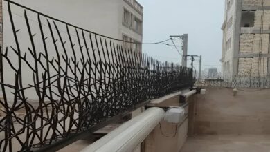 نرده شاخ گوزنی بالای دیوار ساختمان چه کاربردی دارد ؟