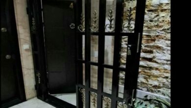 حفاظ کشی پشت درب منزل