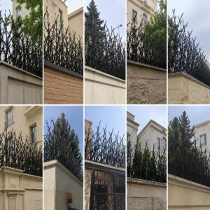 بهترین راهکارهای حفاظ شاخ گوزنی با رنگ سیاه یا مشکی