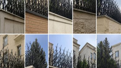 بهترین راهکارهای حفاظ شاخ گوزنی با رنگ سیاه یا مشکی