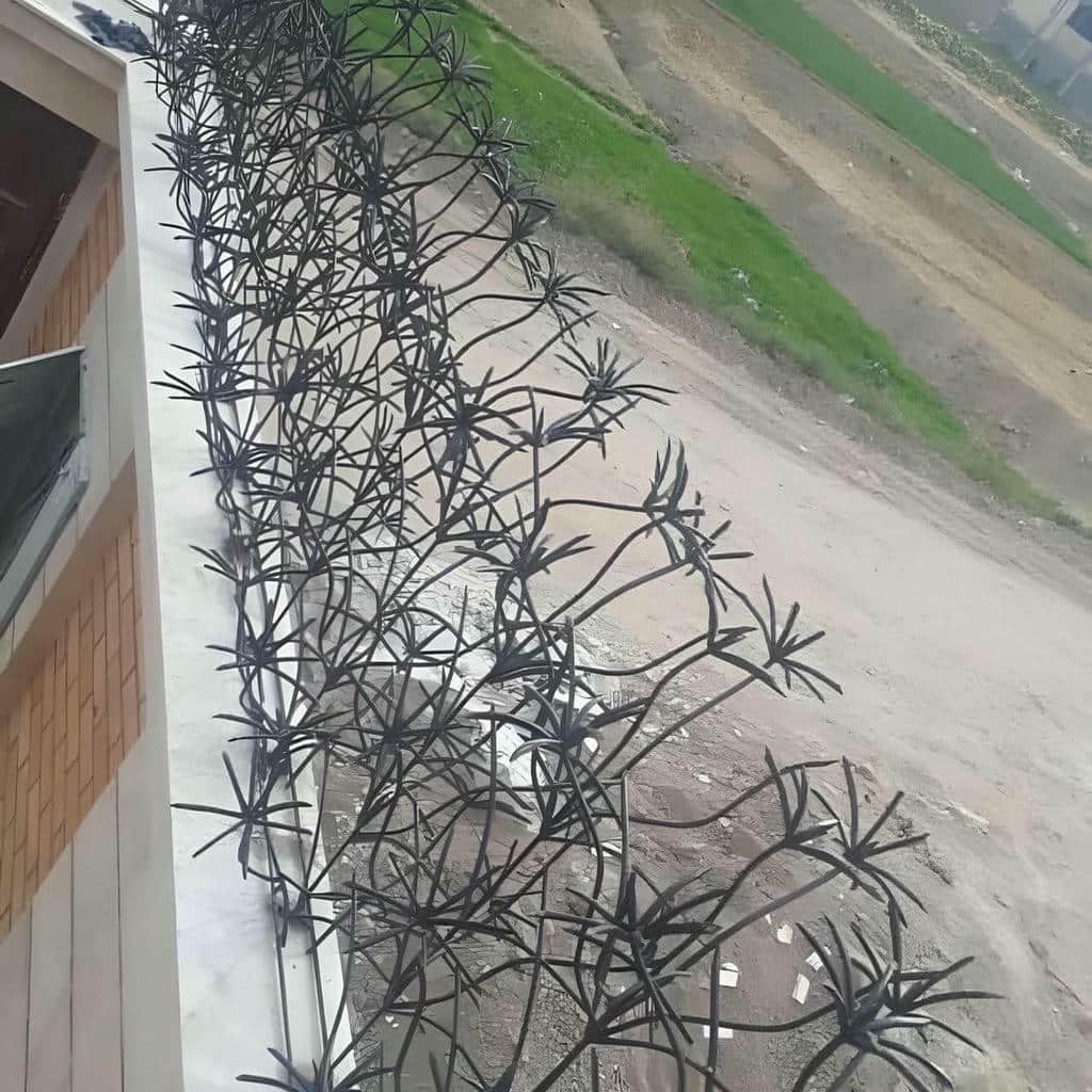 حفاظ نخل مرداب آماده بسته بندی ارسال