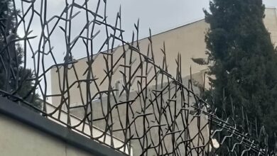 حفاظ دیوار شاخ گوزنی با شاخه های متراکم روی دیوار خانه