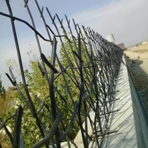 فروش حفاظ آهنی شاخ گوزنی روی دیوار